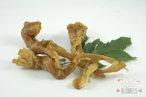 Rinder-Achillessehne