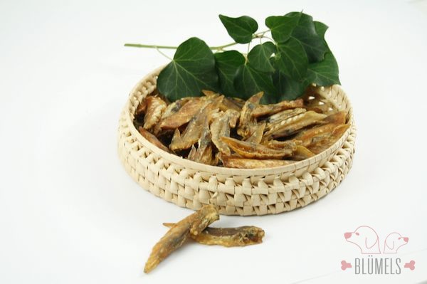 Hühnerflügel , klein