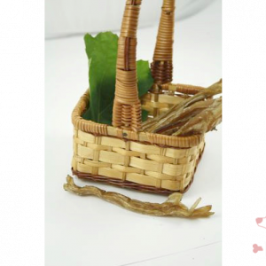 Pferde-Achillessehne