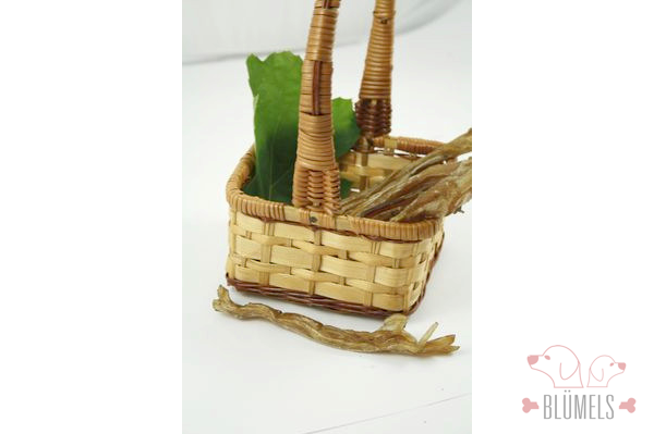 Pferde-Achillessehne