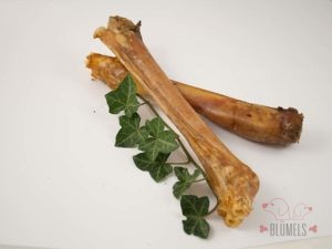 Hirschbein-mit-Sehne