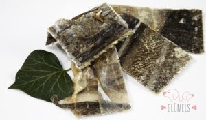 Kabeljauhaut-Platten