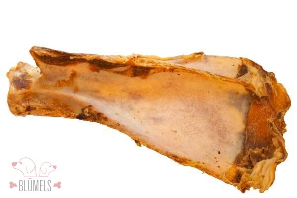 Rinder-Schulterblattknochen