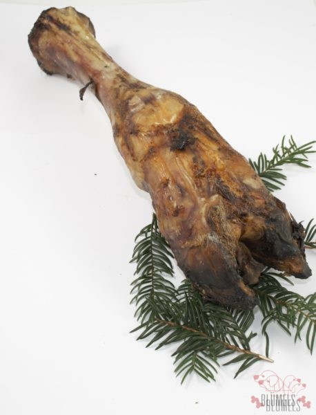 Rinderunterbein-mit-Huf