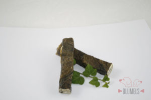 Steinbeißerhaut Kaustangen