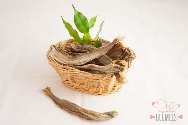 Blue Fish (Blue-Wittling)