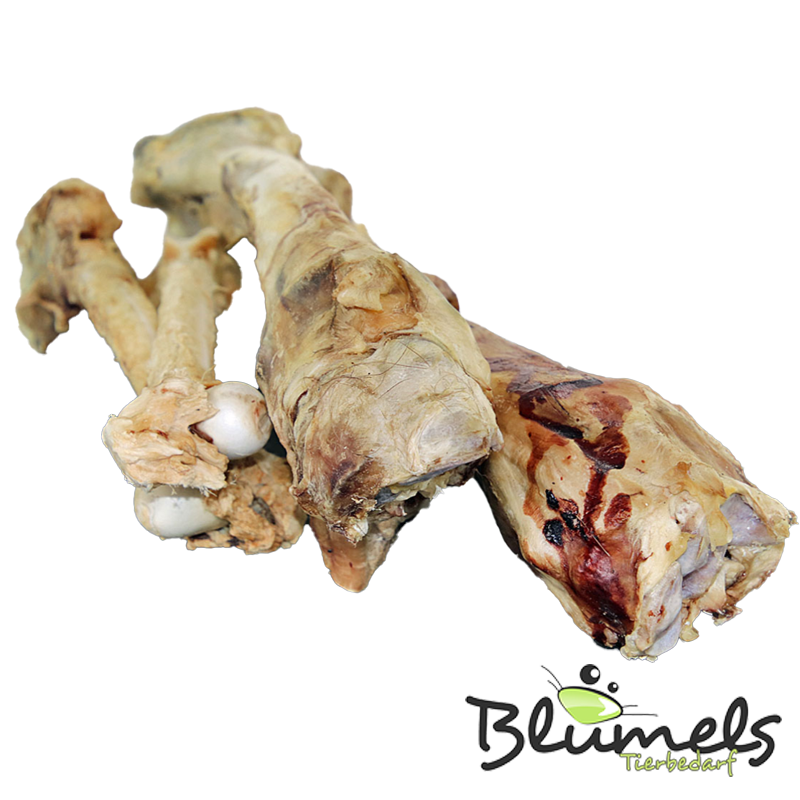 Hirsch Röhrenknochen