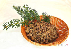 hirsch-mini-trainingshappen