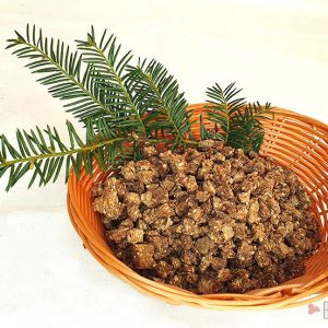 hirsch-mini-trainingshappen