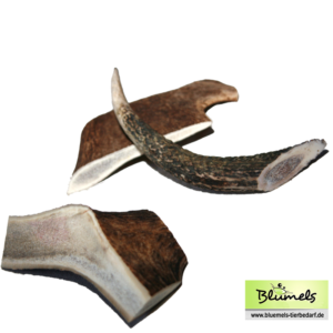 Hirschgeweih , nach Gewicht