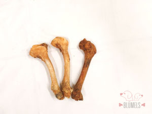 hirschoberschenkelknochen