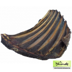 Hirschrücken mit Rippen