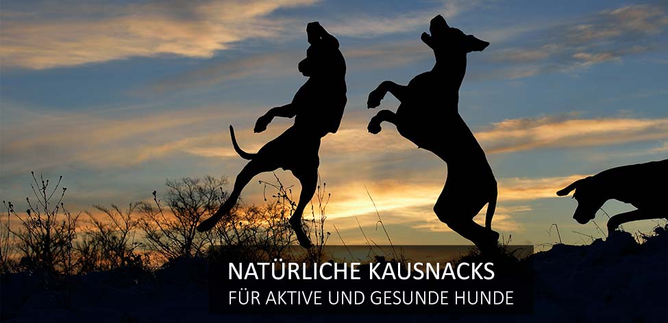 kausnacks aktive gesunde hunde kausnacks aktive gesunde hunde