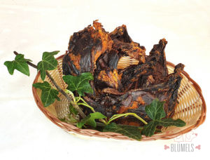 pferdeknorpel-mit-fleisch