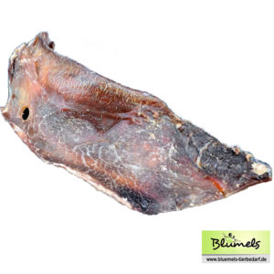 Rinder-Schulterknorpel